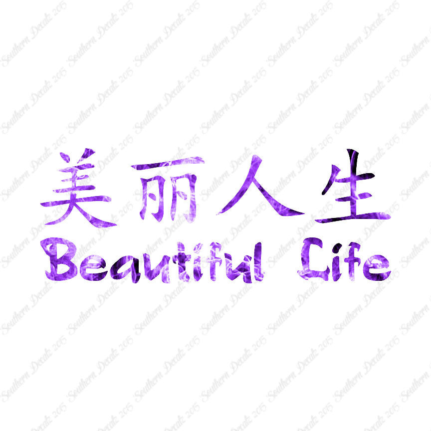 Chinese Symbols "Beautiful Life"