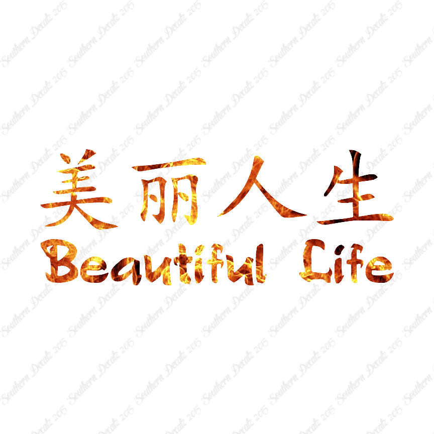 Chinese Symbols "Beautiful Life"