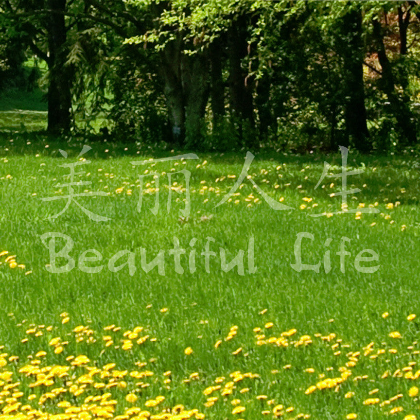 Chinese Symbols "Beautiful Life"