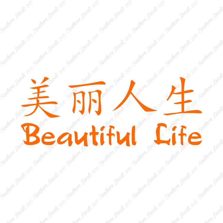 Chinese Symbols "Beautiful Life"