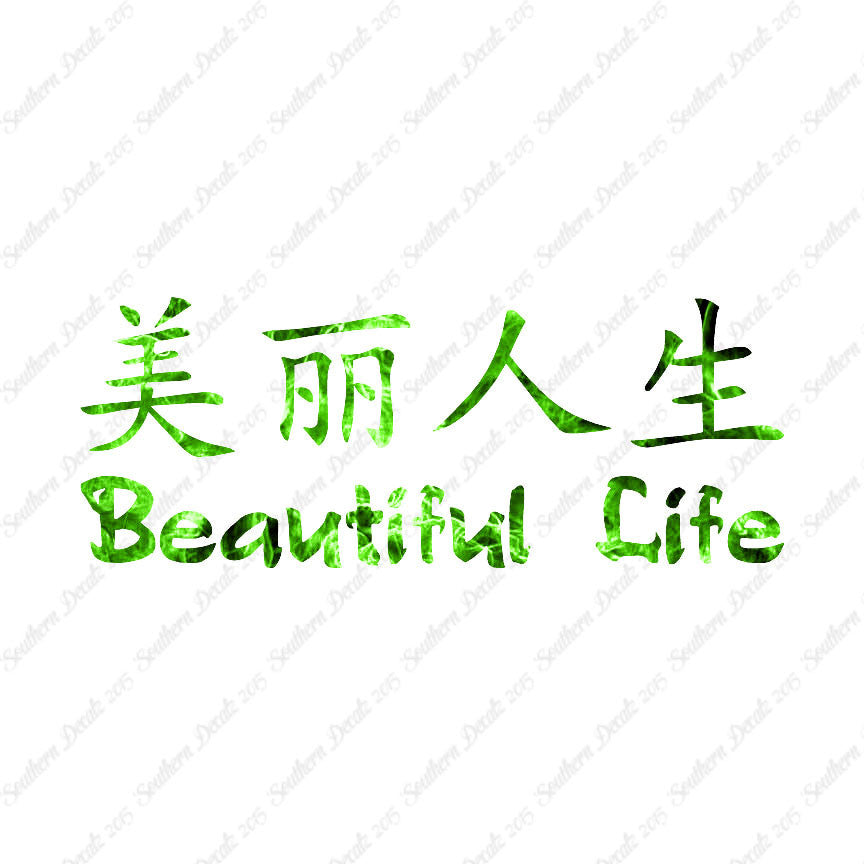 Chinese Symbols "Beautiful Life"