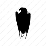 Eagle Hawk Falcon