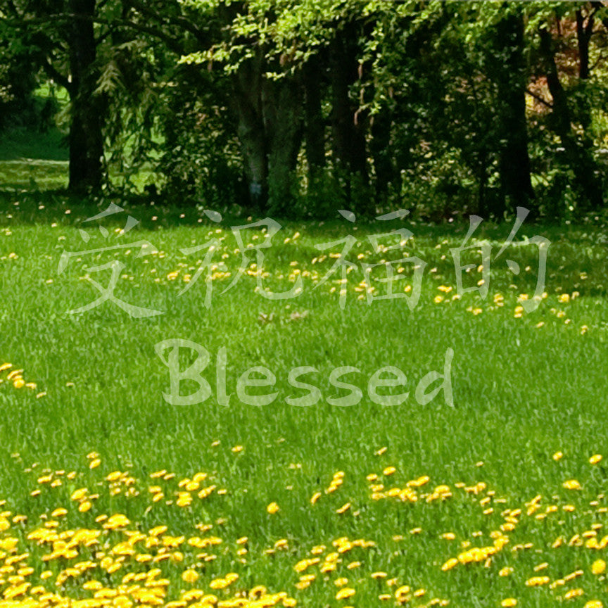 Chinese Symbols "Blessed"