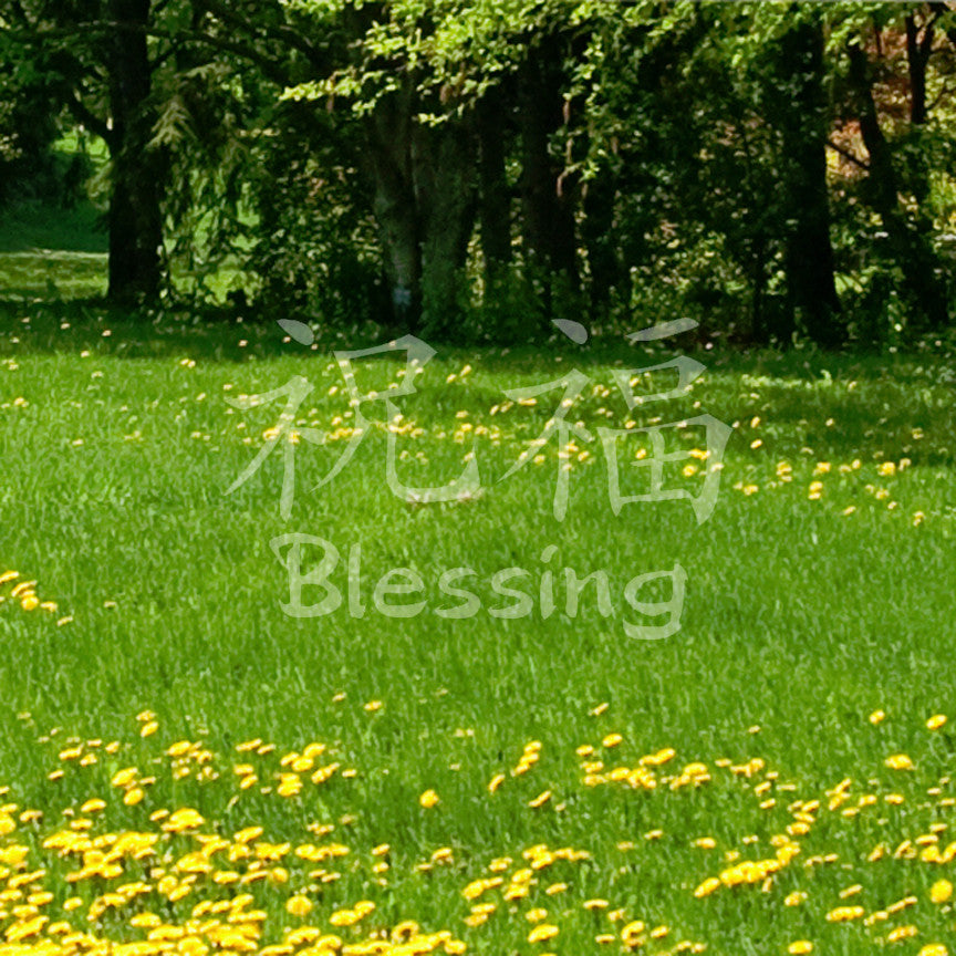 Chinese Symbols "Blessing"