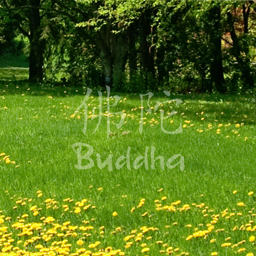 Chinese Symbols "Buddha"