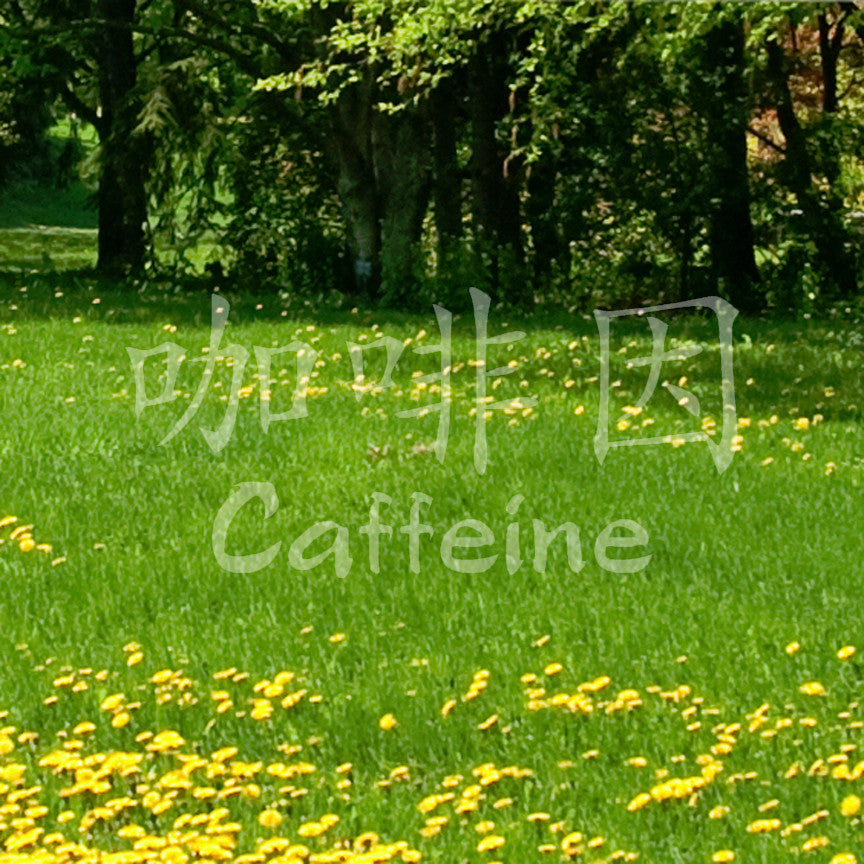 Chinese Symbols "Caffeine"