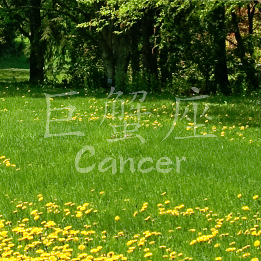 Chinese Symbols "Cancer"