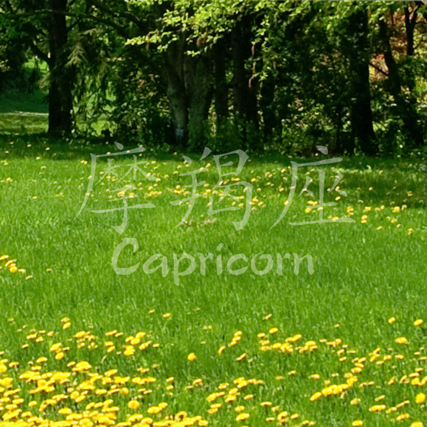Chinese Symbols "Capricorn"