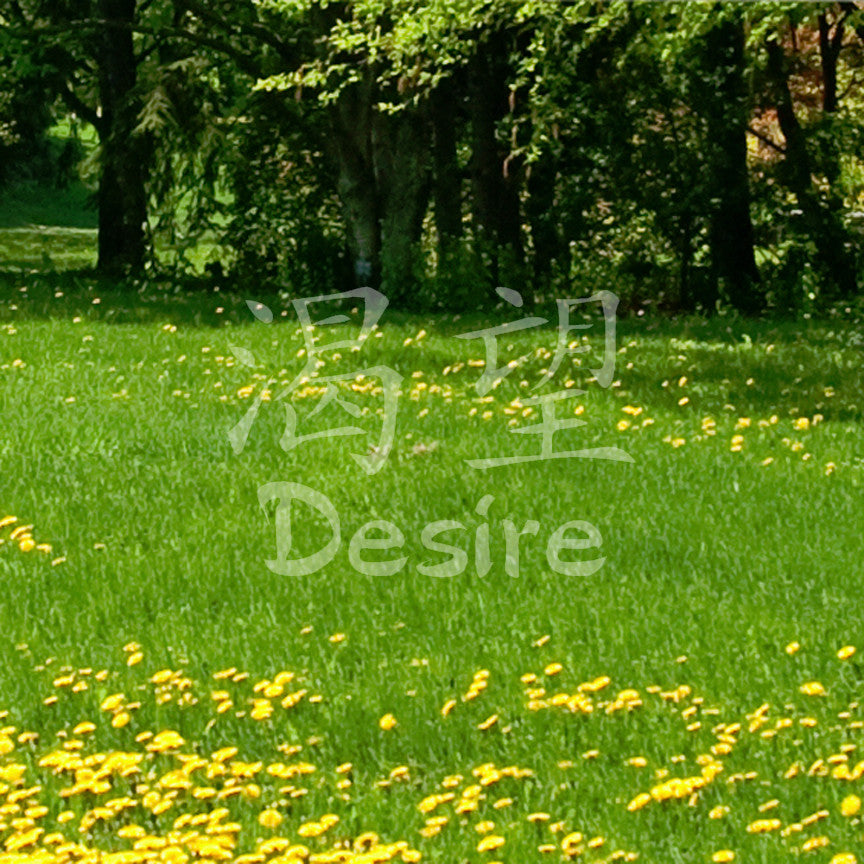 Chinese Symbols "Desire"