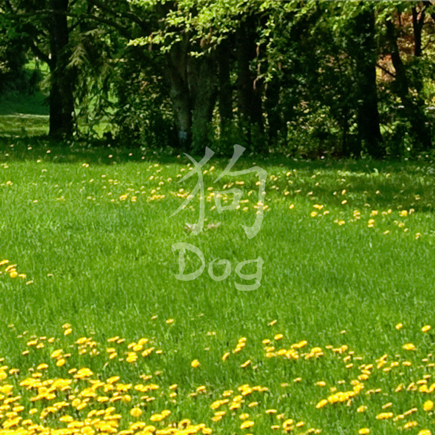 Chinese Symbols "Dog"