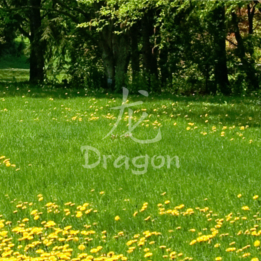 Chinese Symbols "Dragon"