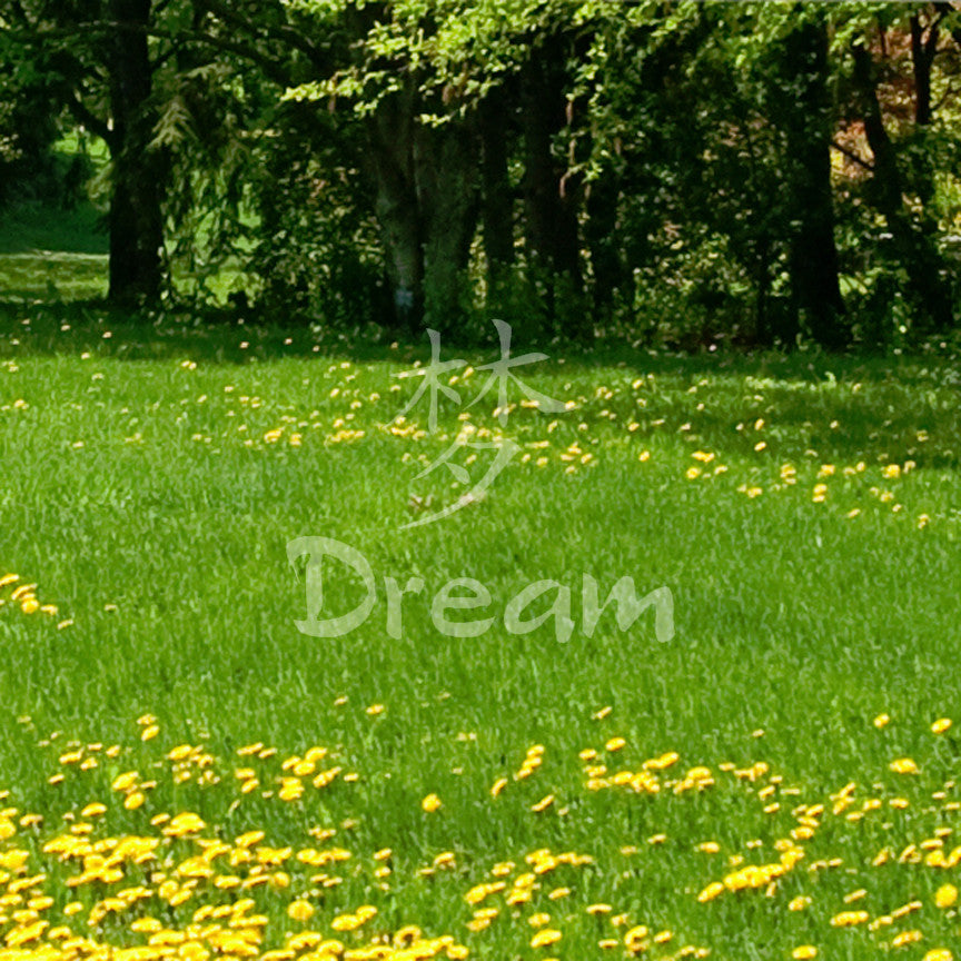 Chinese Symbols "Dream"