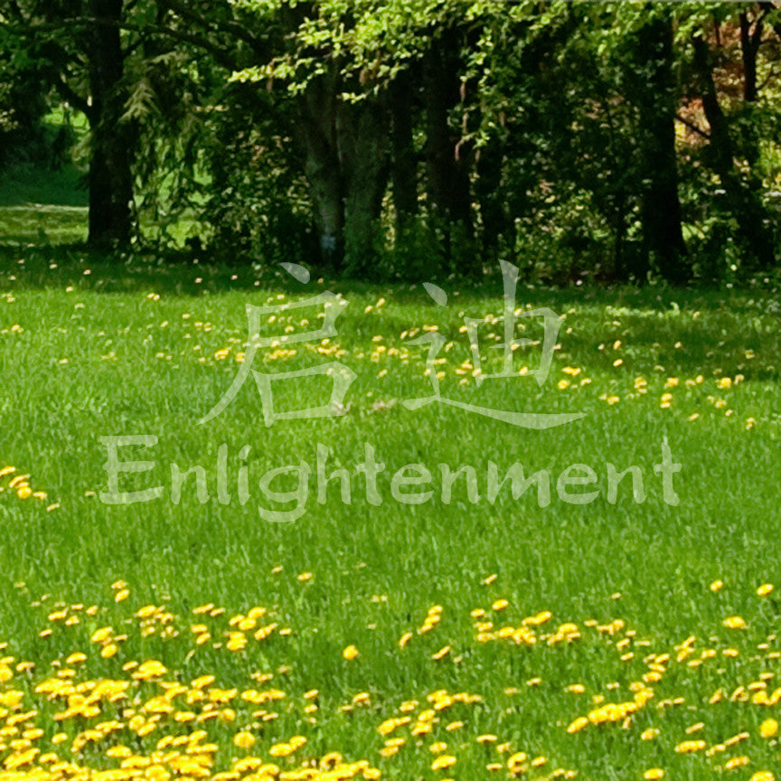 Chinese Symbols "Enlightenment"