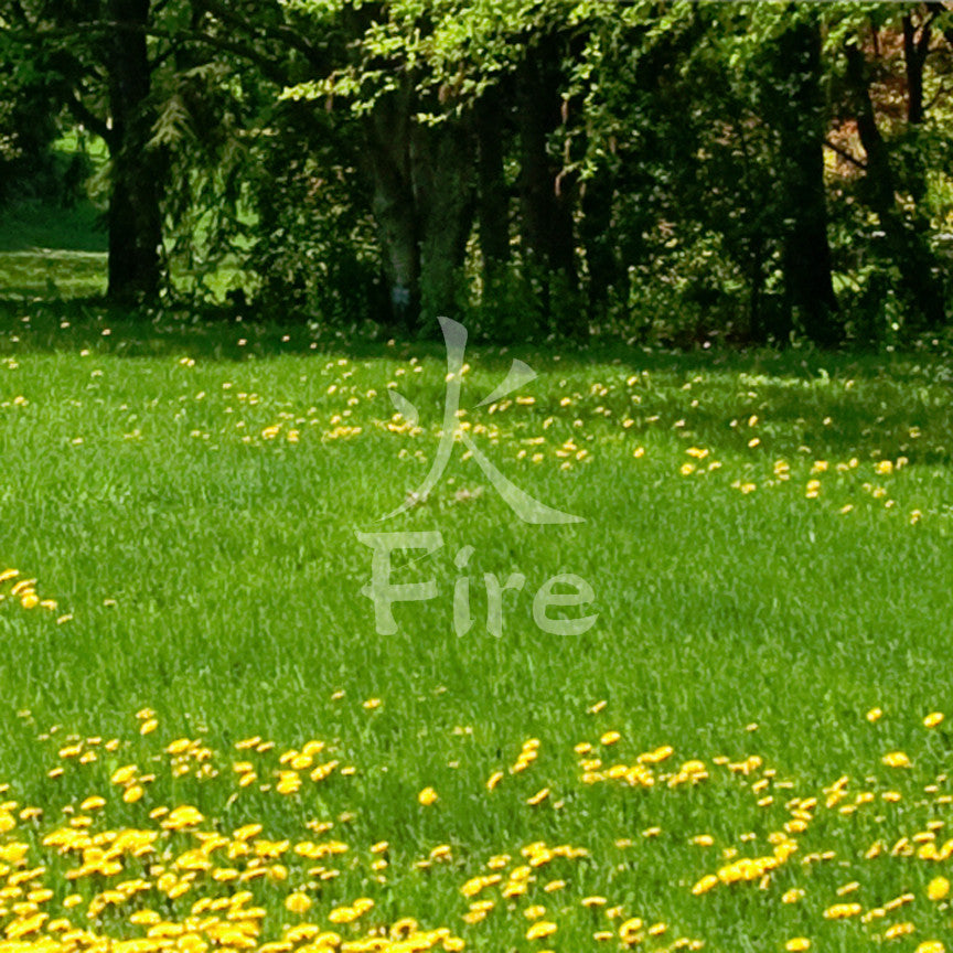 Chinese Symbols "Fire"