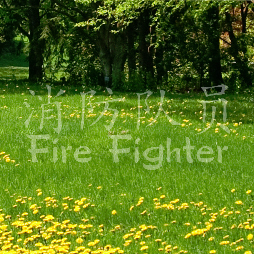 Chinese Symbols "Firefighter"