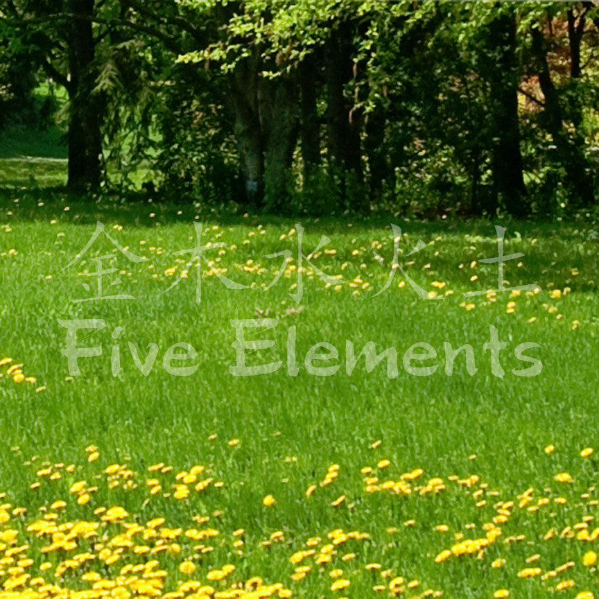 Chinese Symbols "Five Elements"