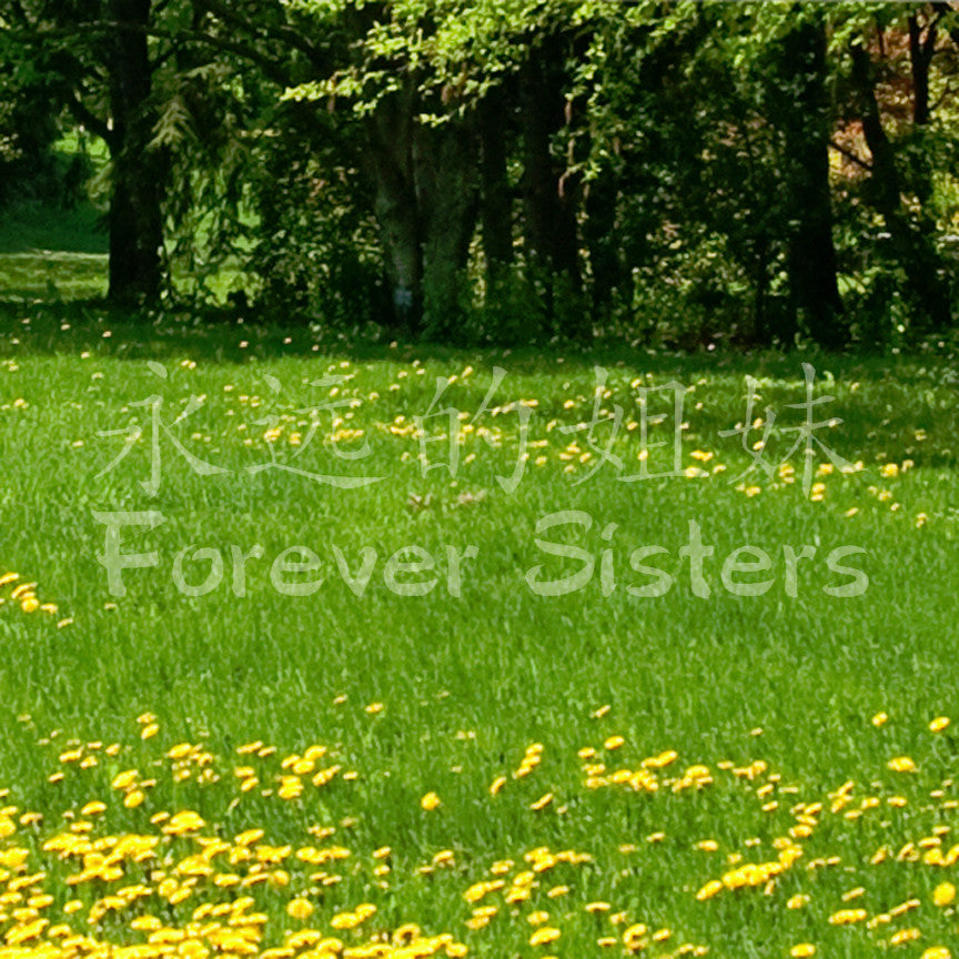 Chinese Symbols "Forever Sisters"