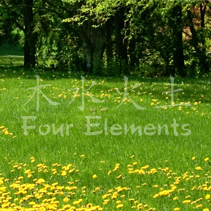 Chinese Symbols "Four Elements"