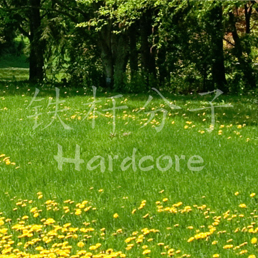 Chinese Symbols "Hardcore"