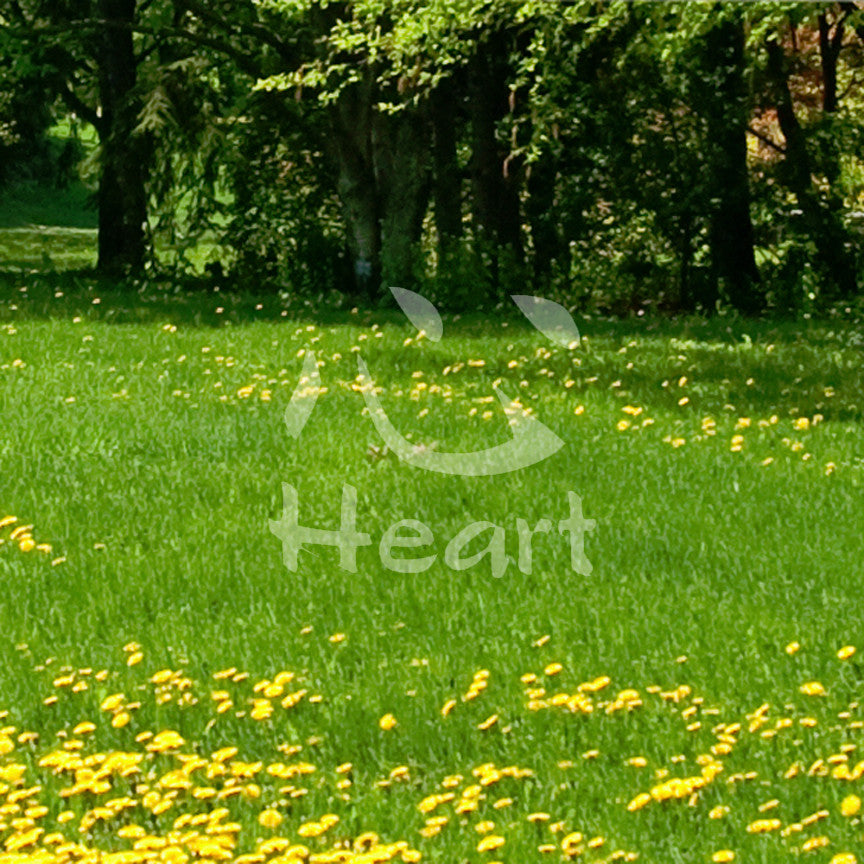 Chinese Symbols "Heart"