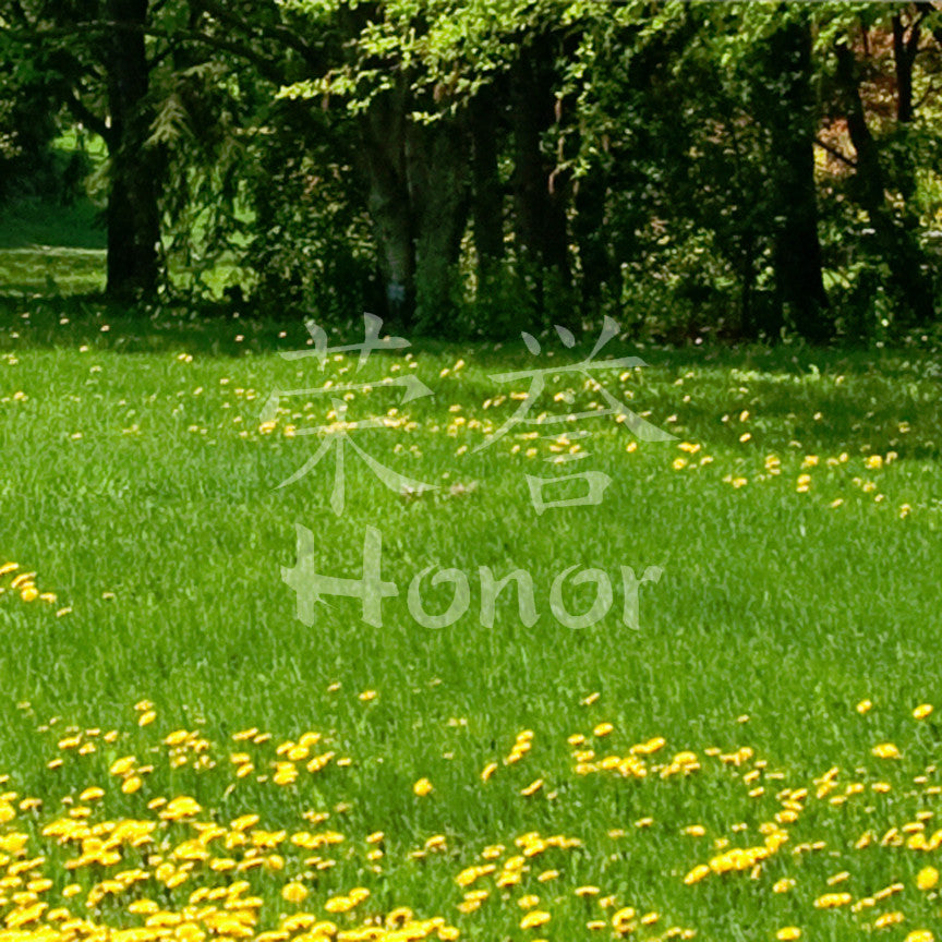 Chinese Symbols "Honor"
