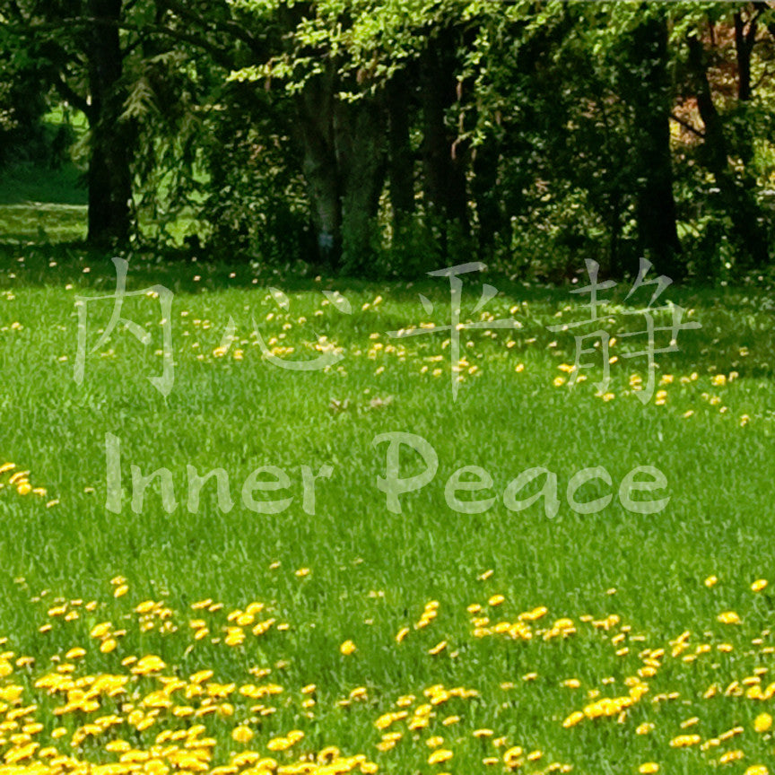 Chinese Symbols "Inner Peace"