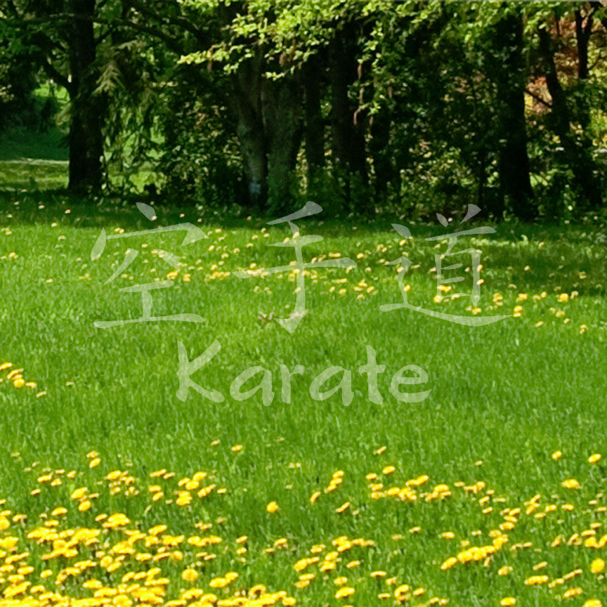 Chinese Symbols "Karate"