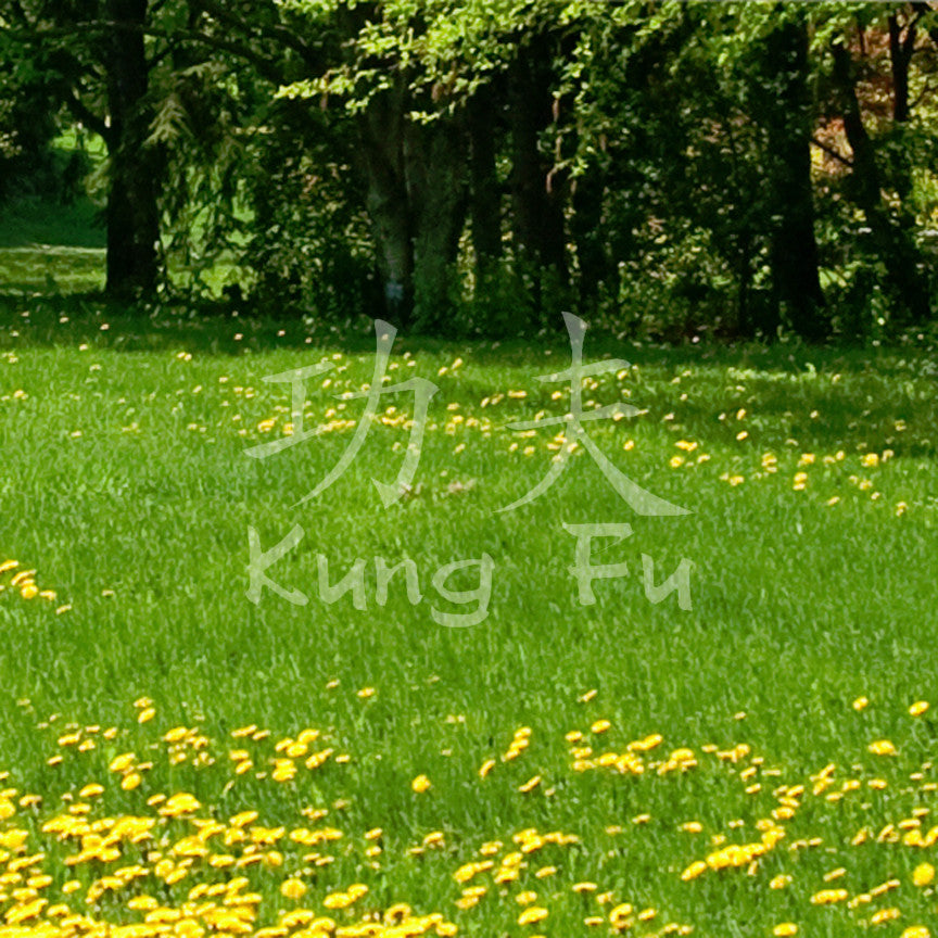 Chinese Symbols "Kung Fu"