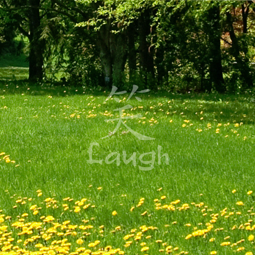 Chinese Symbols "Laugh"