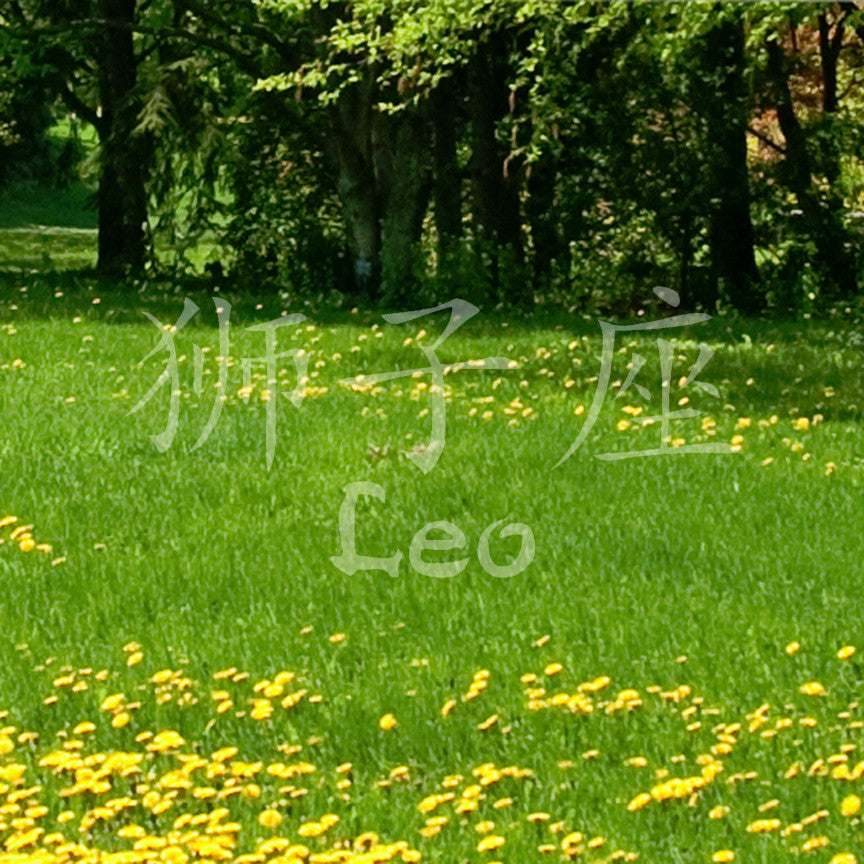 Chinese Symbols "Leo"