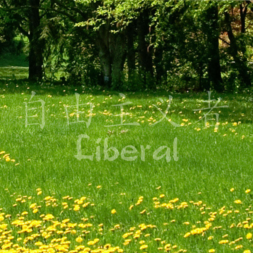 Chinese Symbols "Liberal"