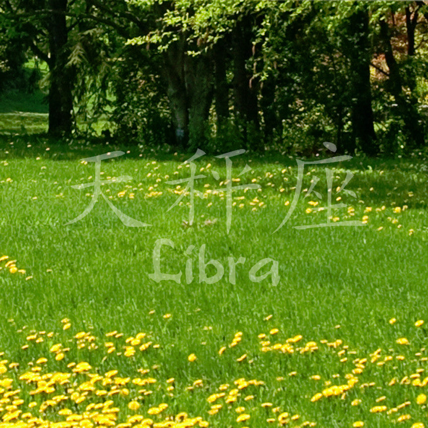 Chinese Symbols "Libra"