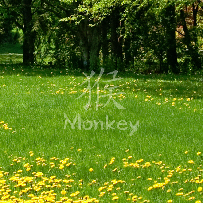 Chinese Symbols "Monkey"