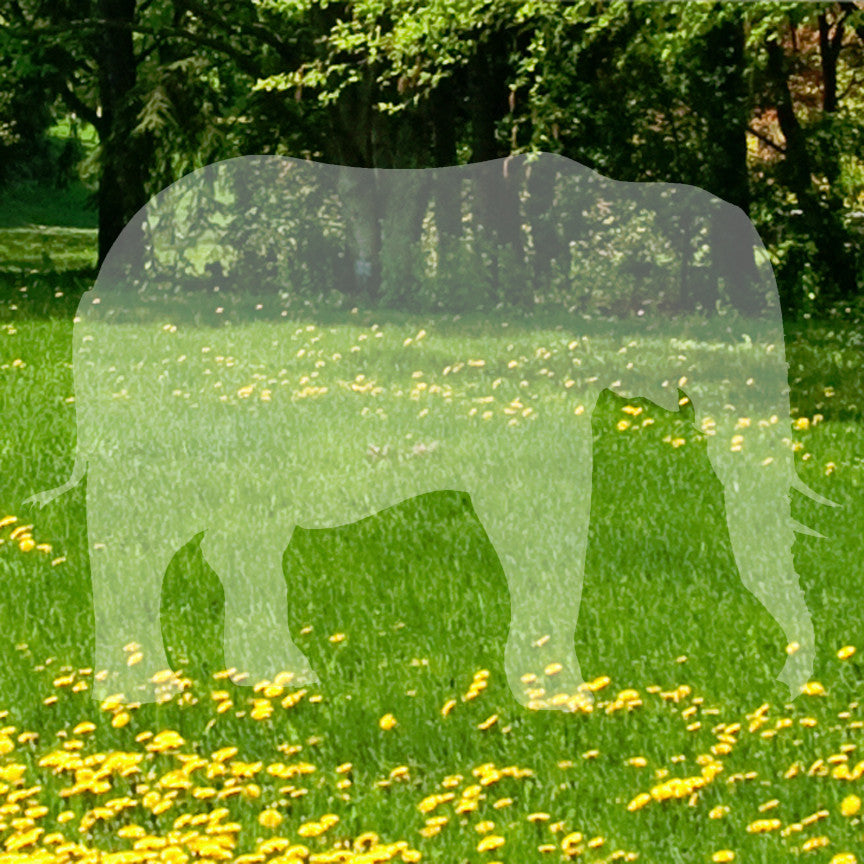 Elephant Standing Tusk