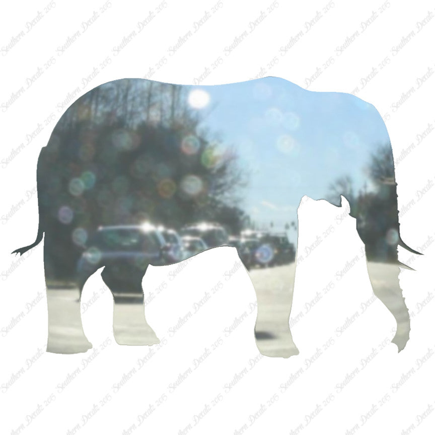 Elephant Standing Tusk