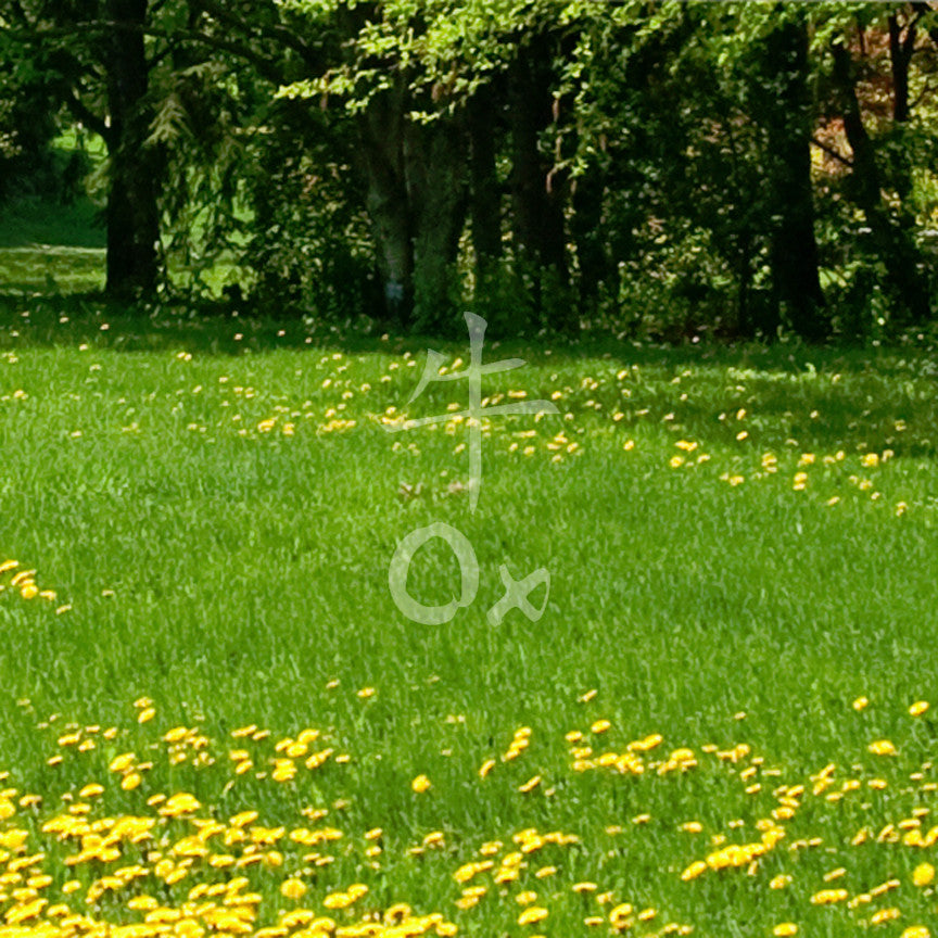 Chinese Symbols "Ox"