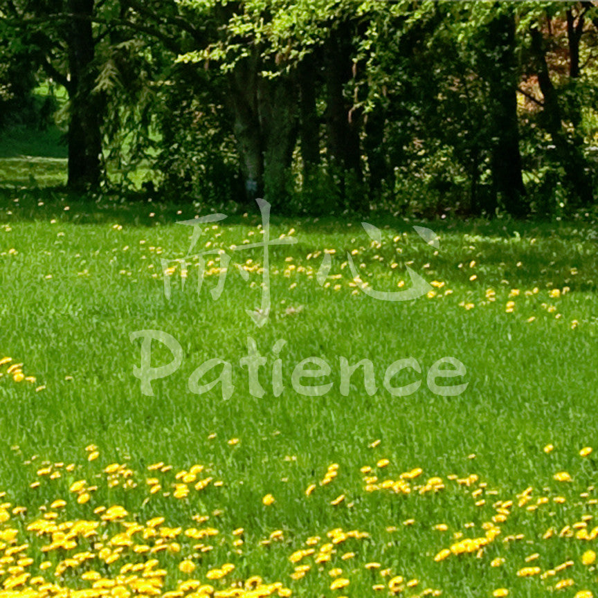 Chinese Symbols "Patience"
