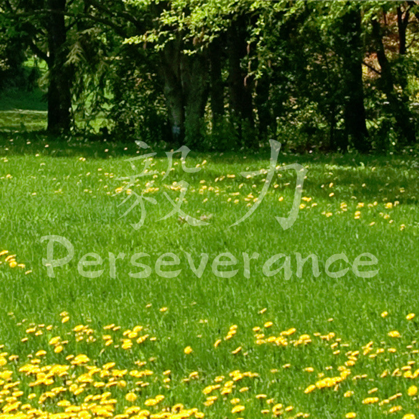 Chinese Symbols "Perseverance"