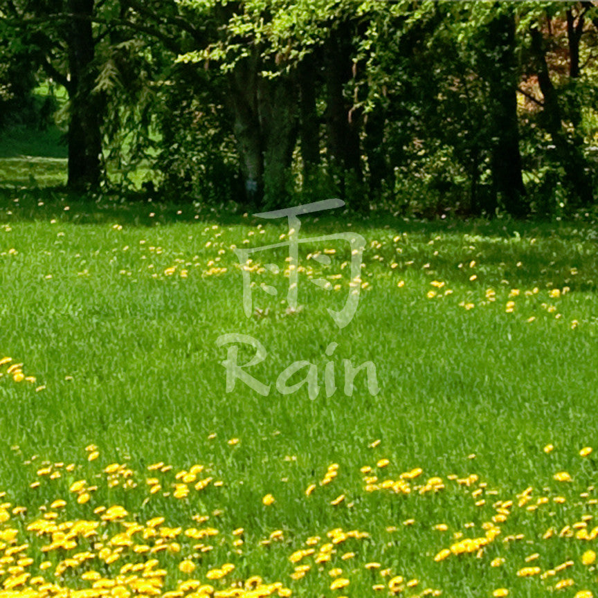 Chinese Symbols "Rain"