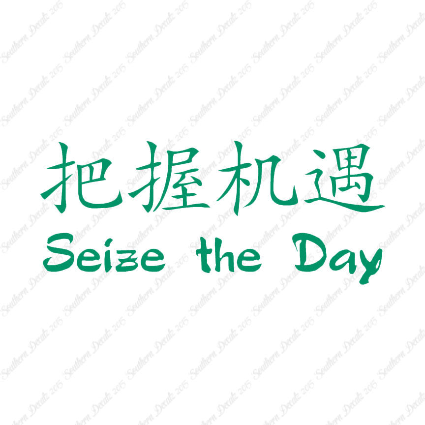 Chinese Symbols "Seize The Day"