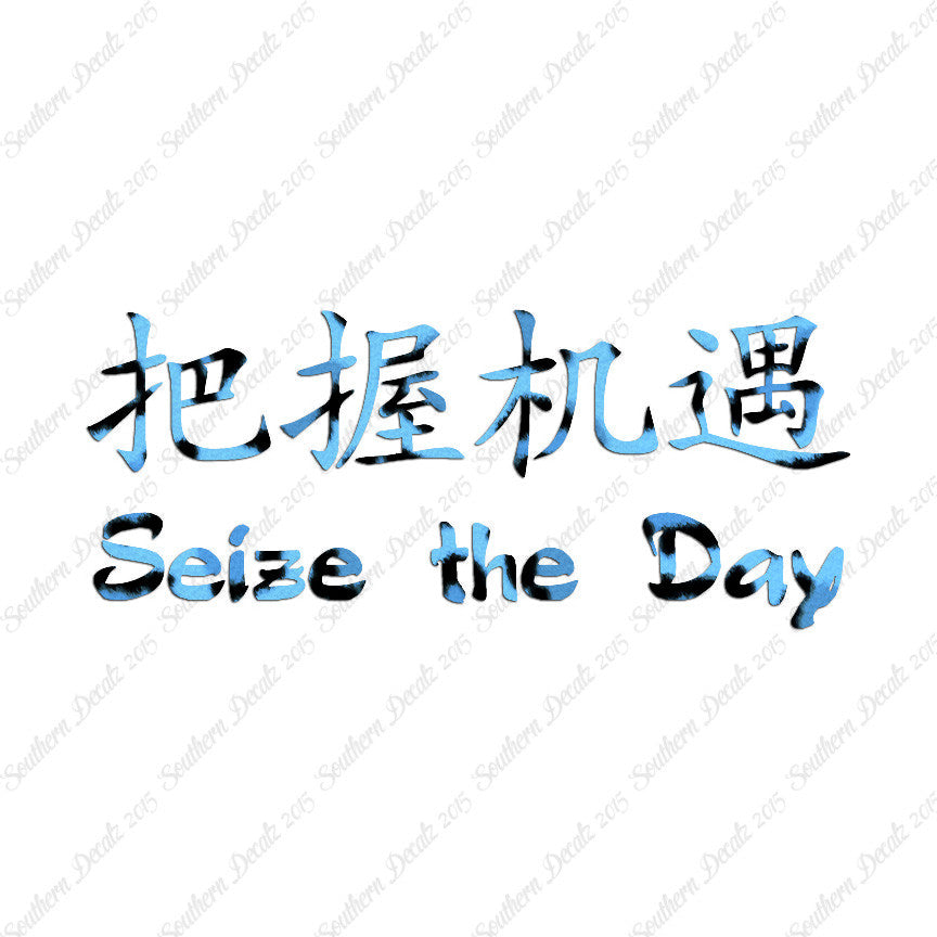 Chinese Symbols "Seize The Day"