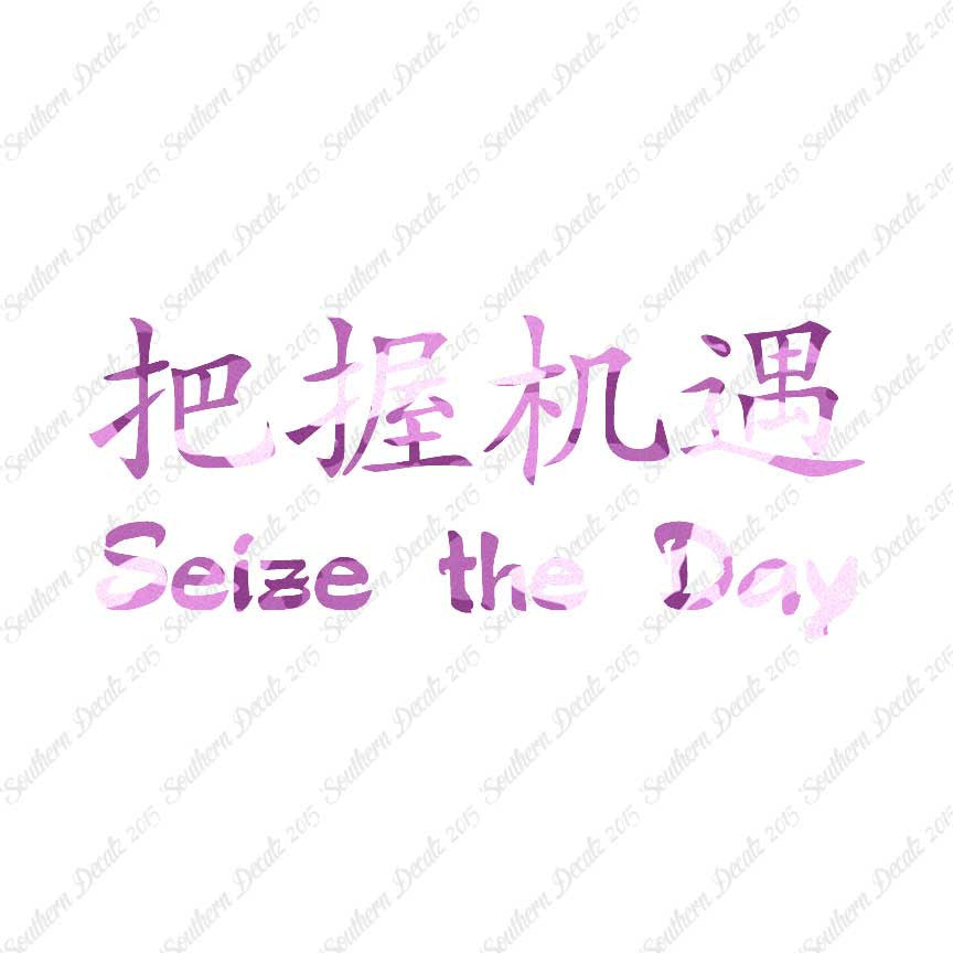 Chinese Symbols "Seize The Day"