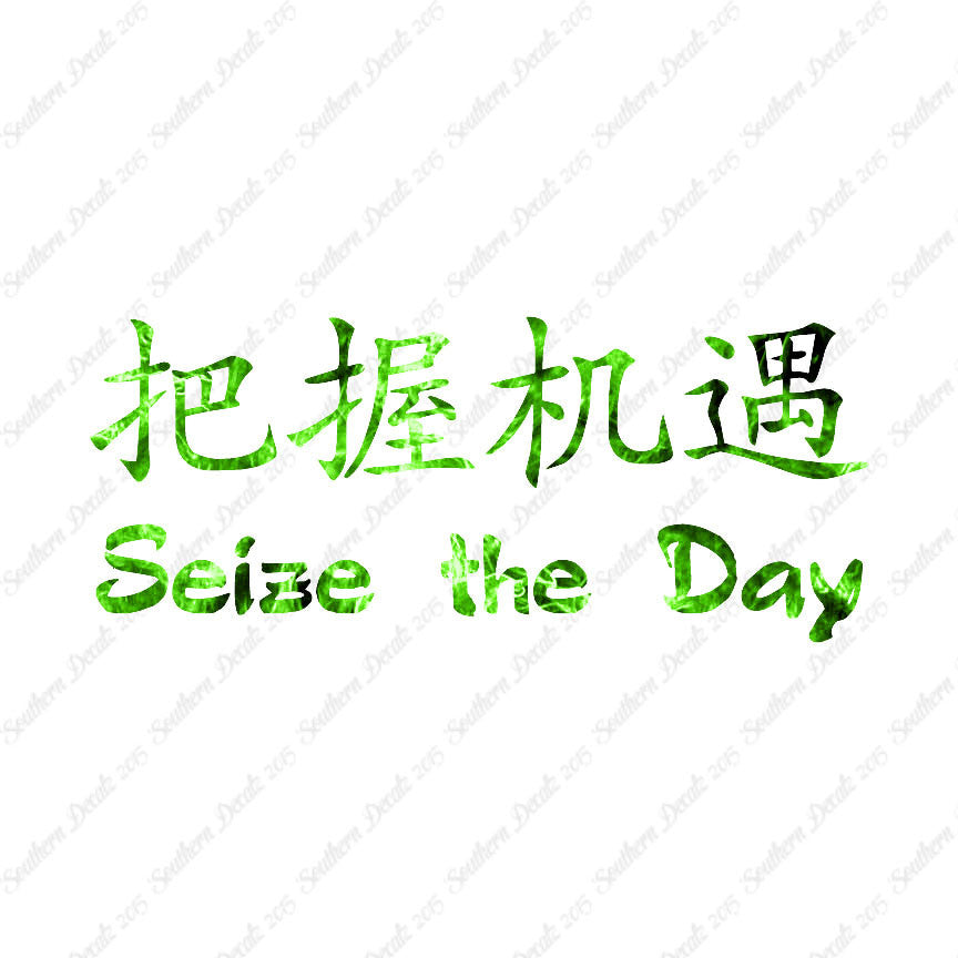 Chinese Symbols "Seize The Day"