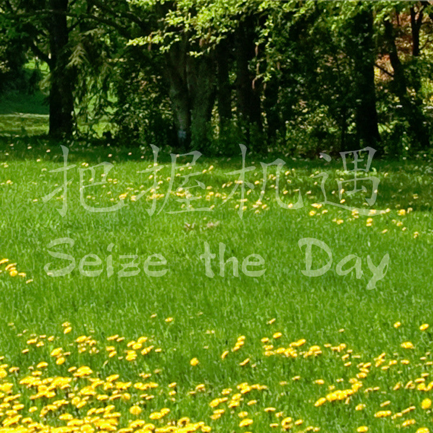 Chinese Symbols "Seize The Day"
