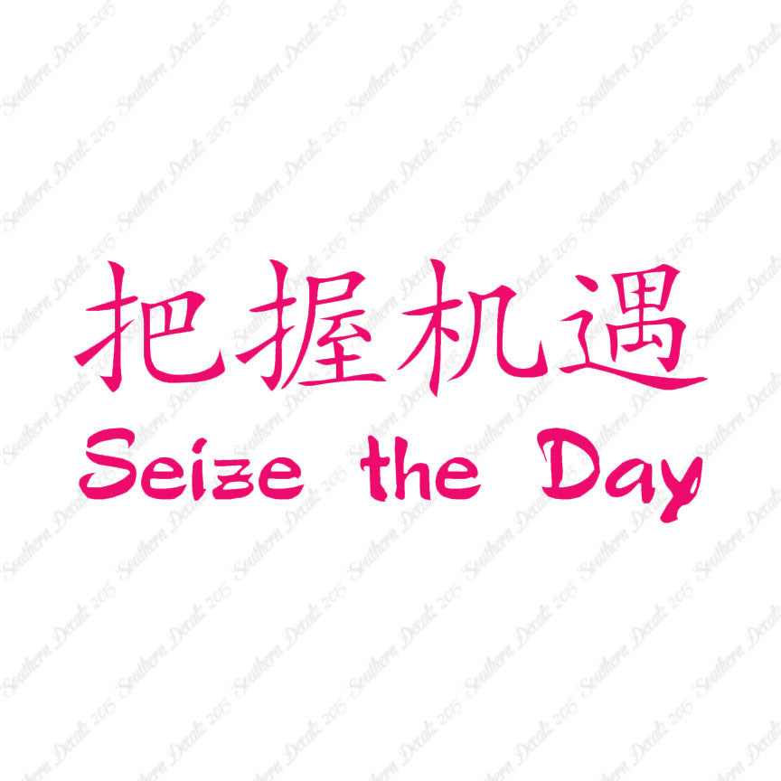 Chinese Symbols "Seize The Day"
