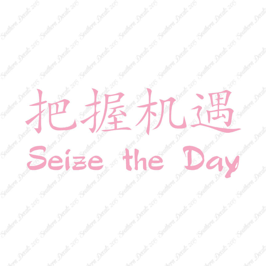 Chinese Symbols "Seize The Day"