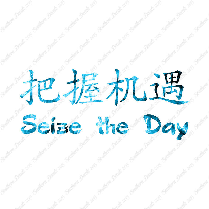 Chinese Symbols "Seize The Day"