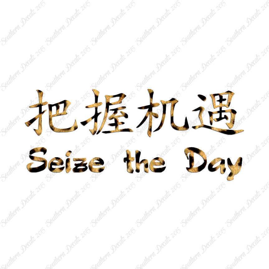 Chinese Symbols "Seize The Day"