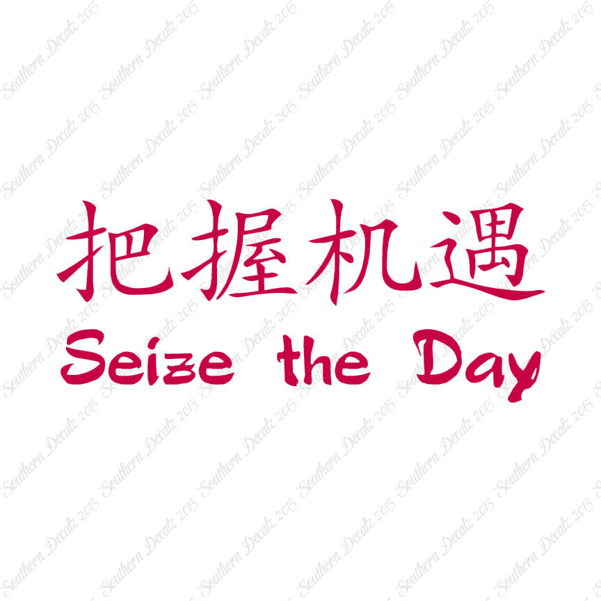 Chinese Symbols "Seize The Day"