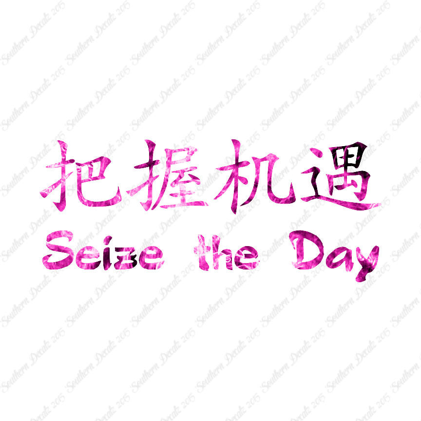 Chinese Symbols "Seize The Day"